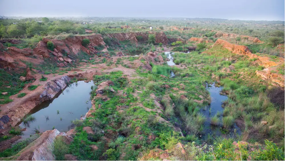 Aravalli Biodiversity Park